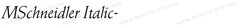 MSchneidler Italic字体转换